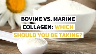 Bovine vs Marine Collagen Which Should YOU be Taking [upl. by Zolly]