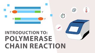 1 PCR Polymerase Chain Reaction Tutorial  An Introduction [upl. by Tihom]