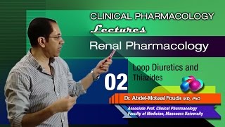 Renal Pharmacology Ar  02  Loop diuretics and thiazides [upl. by Banerjee]