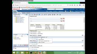 OBIEE Selection Steps amp Views [upl. by Rozelle87]