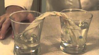 Capillary Action Experiment [upl. by Richlad]