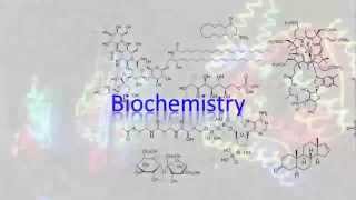 Biochemistry 22 Hydrogen bonds [upl. by Kaete819]