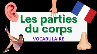 Les parties du corps  Parts of the body  French vocabulary [upl. by Rehpotsirc]