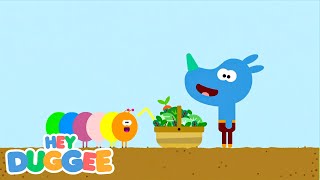 Bugs with Duggee  Duggee Best Bits  Hey Duggee [upl. by Caasi678]