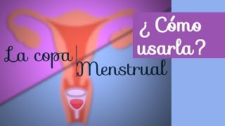 La copa menstrual cómo usarla [upl. by Ahtabbat]