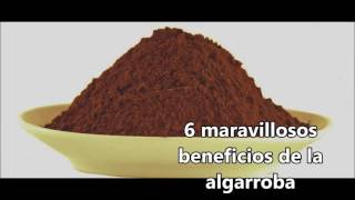 6 Maravillosos Beneficios de la Algarroba [upl. by Aihsined]