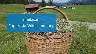 Similasan Euphrasia Wildsammlung [upl. by Ynamad]