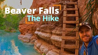 Full HIKE to BEAVER FALLS  The best daytrip in Havasupai [upl. by Ataliah]