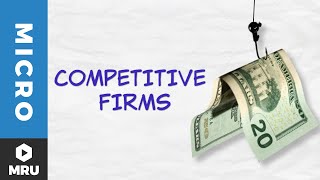 Introduction to the Competitive Firm [upl. by Gathers]