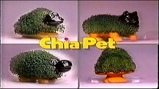 Classic Nostalgic 1990s2000s Commercials [upl. by Nylirehs]