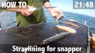 How To Catch Big Red Snapper Like A PRO [upl. by Ogaitnas398]