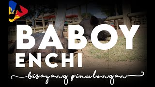 Baboy by Enchi  MusicLyric Video  Bisrock  HD [upl. by Rhiana]