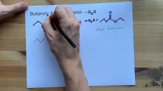 Butanoic Acid  Ethanol  Ester Reaction with Mechanism [upl. by Gans761]