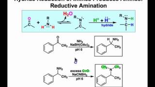 Reductive Amination Mechanism amp Examples [upl. by Marni]