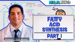 Metabolism  Fatty Acid Synthesis Part 1 [upl. by Mot]