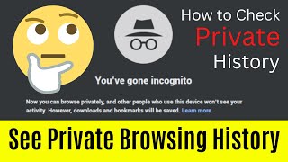 How To Check Private Browsing History  See Incognito Browsing History  Simple amp Quick Way [upl. by Ecirp236]