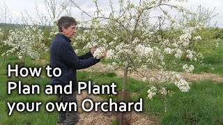 How to Plan and Plant your own Orchard [upl. by Yoo412]