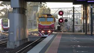 4K VLine Trains at Sunshine Station  Melbourne Trainspotting  Victorian Railways [upl. by Janie]