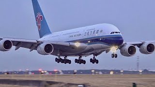 120 planes in 1 hour  Paris CDG Airport Plane Spotting🇫🇷 Close up big airplane Heavy landing [upl. by Madelin]