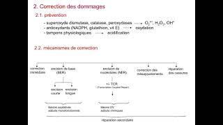 Maintenance et variations du matériel génétique [upl. by Aneleiram]