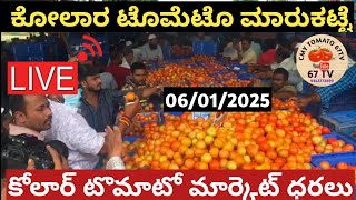 ಕೋಲಾರ ಟೊಮೆಟೊ ದರಗಳು06012025today Tomato rates inkolar kolartomatomarketratetoday chintamani [upl. by Nnalyrehs]