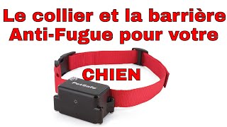 😺 Le collier anti fugue Petsafe pour chien [upl. by Bick95]