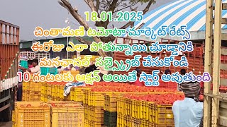 Chintamani tomato market rates updates live [upl. by Nore]