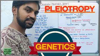 Pleiotropy  Pleiotropic genes  Genetics [upl. by Llenrev93]