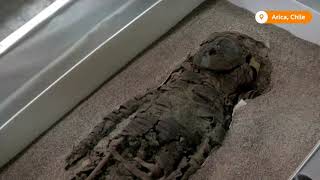 Chiles Chinchorro mummies receive heritage listing – Lifestyle [upl. by Enrahs]