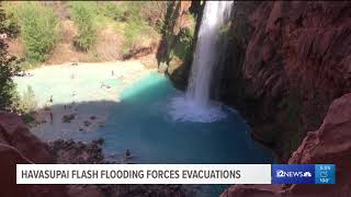 Havasupai flash flooding forces evacuations [upl. by Zaccaria258]