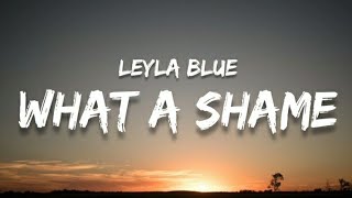 Leyla Blue What a shame lyrics [upl. by Alieka]