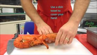 How to cook a live lobster [upl. by Ecitnerp]