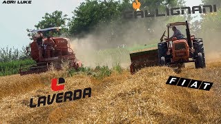 Laverda M120  Gallignani 7100  OM615 Old Threshing and Baling  Trebbiatura e Pressatura DEpoca [upl. by Kcor378]