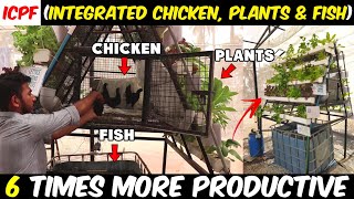 Integrated Chicken Plant and Fish Farm ICPF  Aquaponics for Beginners [upl. by Nelyt]