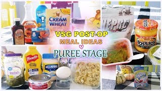 WHAT I EAT AFTER VSG 18 DAYS POSTOP  PUREE STAGE [upl. by Lyndel]