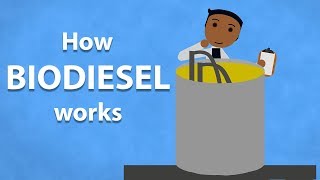 How Biodiesel Works [upl. by Hsaka]