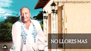 Luis Alberto Posada  No Llores Mas Audio Oficial [upl. by Nwahsiek961]