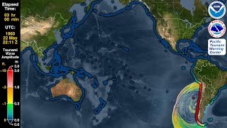 Tsunami Forecast Model Animation Chile 1960 [upl. by Olyhs]