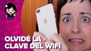 Cómo saber la CONTRASEÑA de tu WIFI [upl. by Iv]