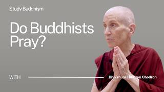 Do Buddhists Pray  Bhikshuni Thubten Chodron [upl. by Josiah]