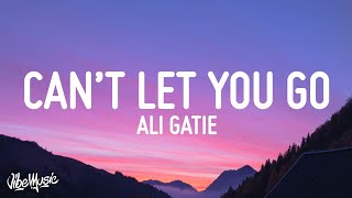 Ali Gatie  Cant Let You Go Lyrics [upl. by Novyert]