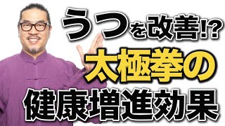 太極拳の健康効果が論文として発表！【うつ症状への効果も】太極拳はなぜ身体に良いのか？の太極拳を詳しく解説いたします！中村げんこう太極拳 [upl. by Iretak283]