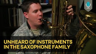 Unheard of Instruments in the Saxophone Family [upl. by Mendie]