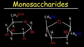 Monosaccharides  Glucose Fructose Galactose amp Ribose  Carbohydrates [upl. by Nolava]