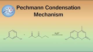 Pechmann Condensation Mechanism Coumarin Synthesis  Organic Chemistry [upl. by Binnie38]