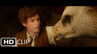 The Niffler Scene  Bank Robbery  Fantastic Beasts and Where to Find Them 2016 Movie Clip HD [upl. by Alekehs]