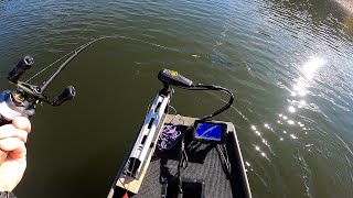 Multispecies FALL Fishing Carvins Cove Reservoir [upl. by Erasme34]