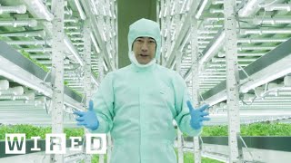 Tokyo’s Vertical Farms  The Future of Farming  WIRED [upl. by Nayar290]