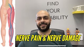 All About Nerve Damage Nerve Pain And Nerve Healing  Dr Sina Yeganeh Chiropractor  MOVABILITY [upl. by Iong]