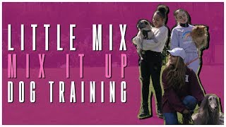 Little Mix  Mix It Up Dog Training [upl. by Euphemiah]